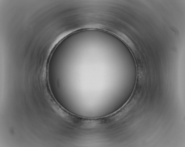 X0000115721044200911121446
