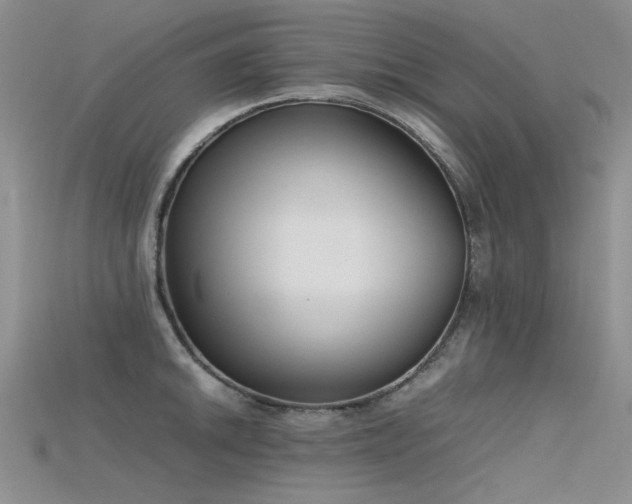 X0000115721046200911121446