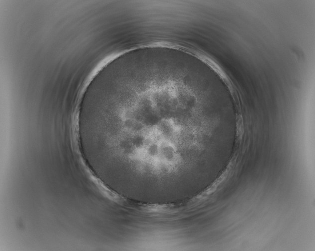 X0000115721048200911121446