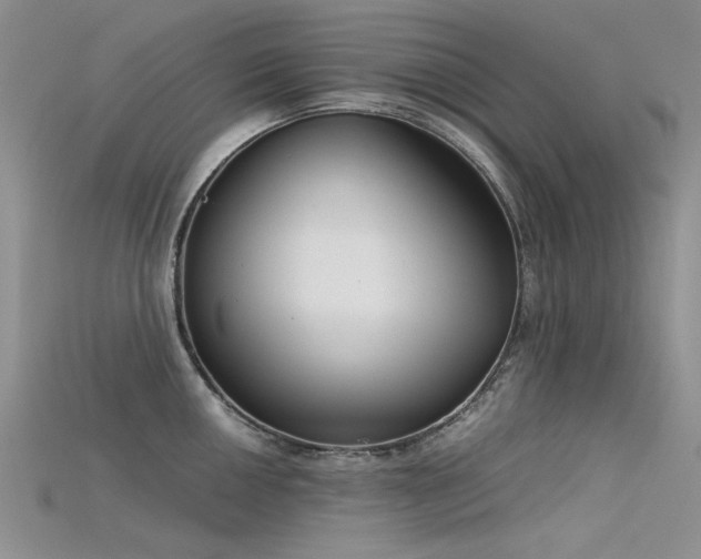 X0000115721050200911121446