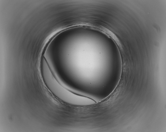 X0000115721051200911121446