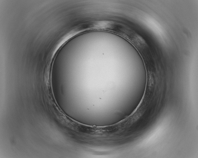 X0000115721052200911121446