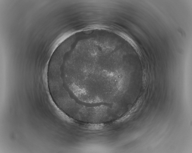 X0000115721055200911121446