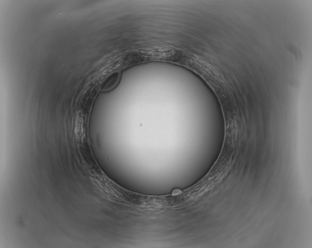 X0000115721058200911121446