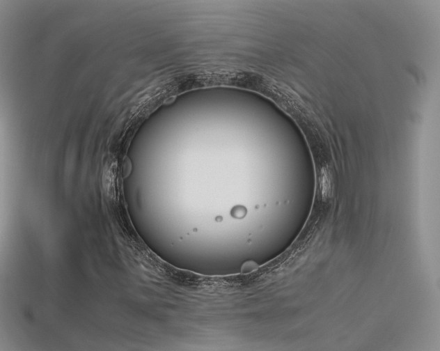 X0000115721059200911121446