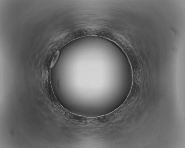 X0000115721061200911121446
