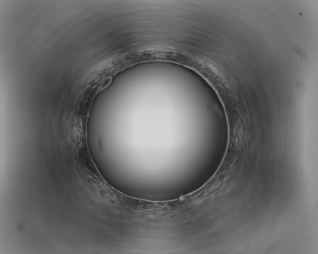 X0000115721062200911121446
