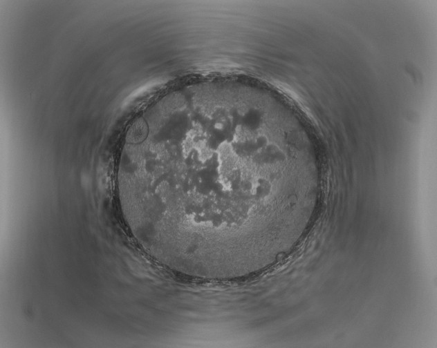 X0000115721063200911121446