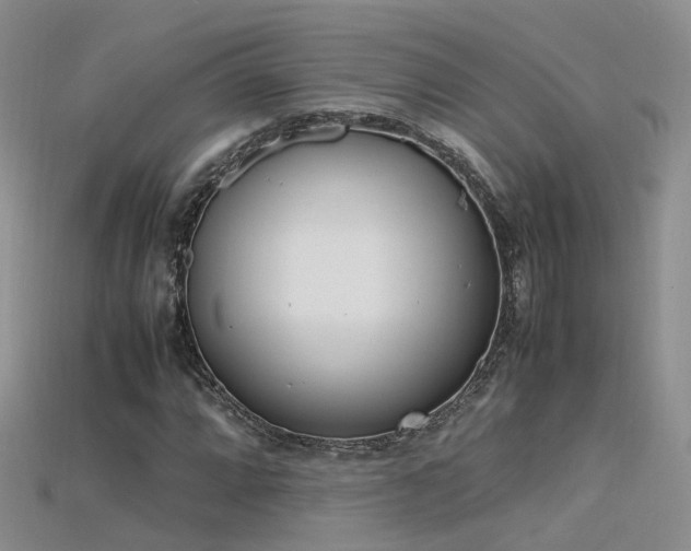 X0000115721064200911121446