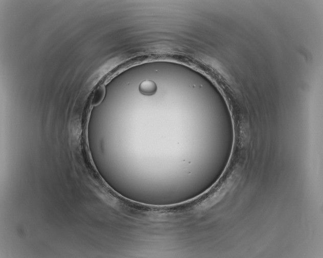 X0000115721065200911121446