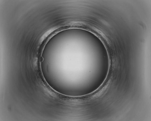 X0000115721066200911121446