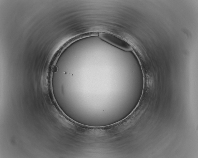 X0000115721068200911121446