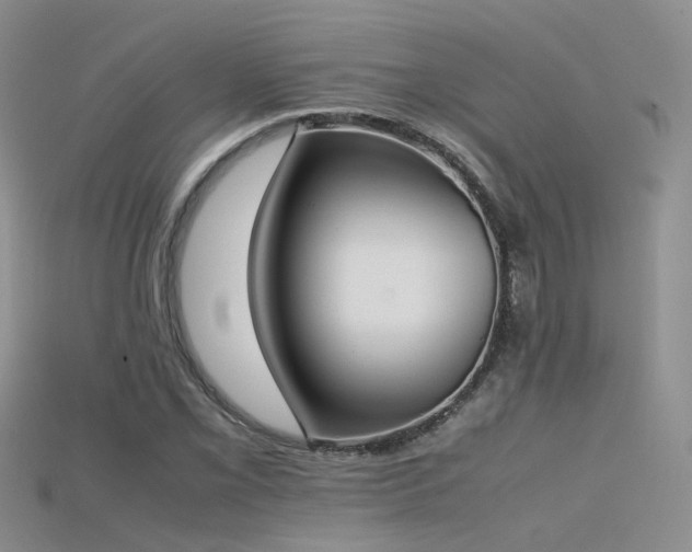 X0000115721069200911121446