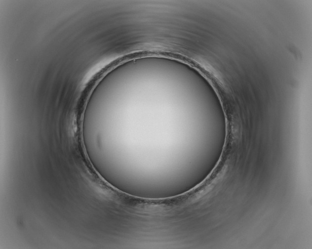 X0000115721070200911121446