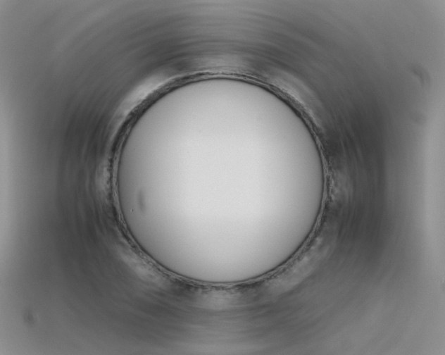 X0000115721074200911121446