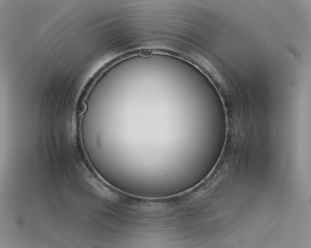 X0000115721076200911121446