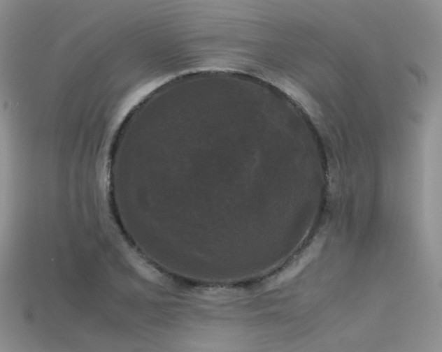 X0000115721077200911121446