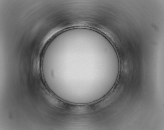 X0000115721078200911121446