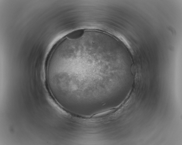 X0000115721080200911121445