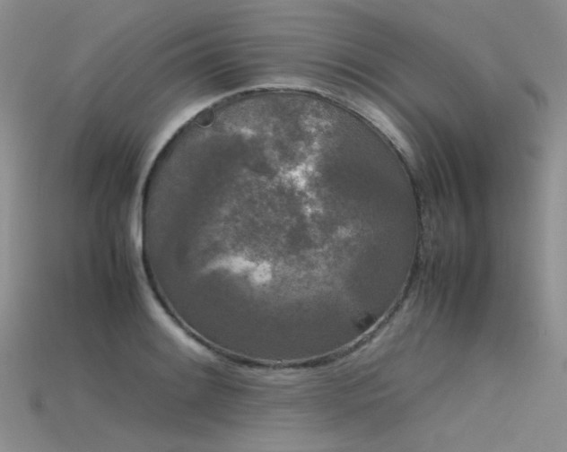 X0000115721084200911121445