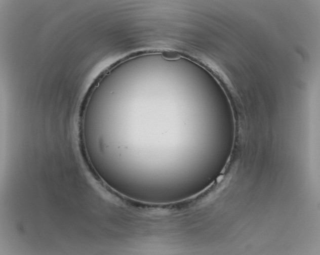 X0000115721085200911121445