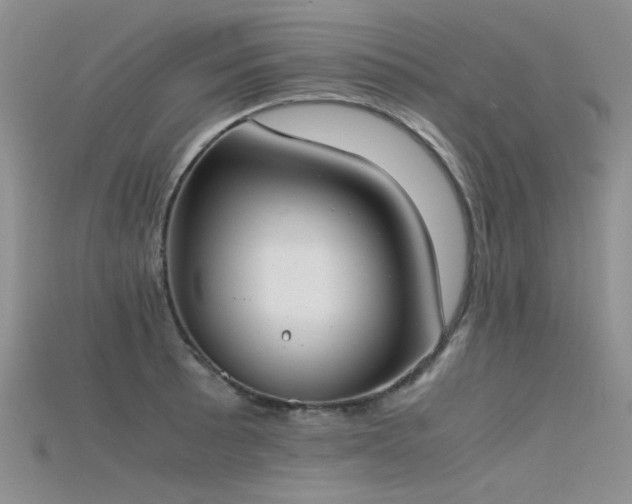 X0000115721089200911121445