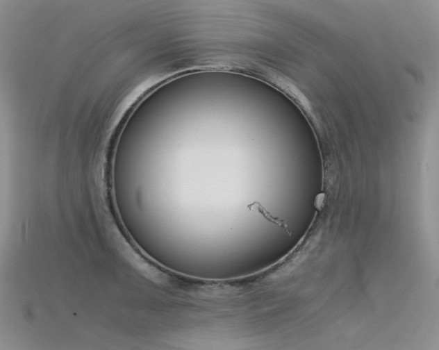 X0000115721091200911121445