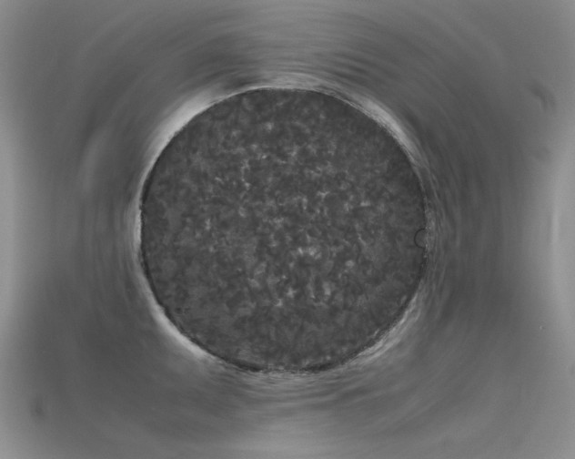X0000115721095200911121445
