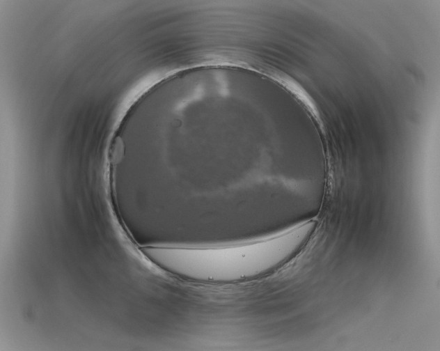 X0000115721096200911121445