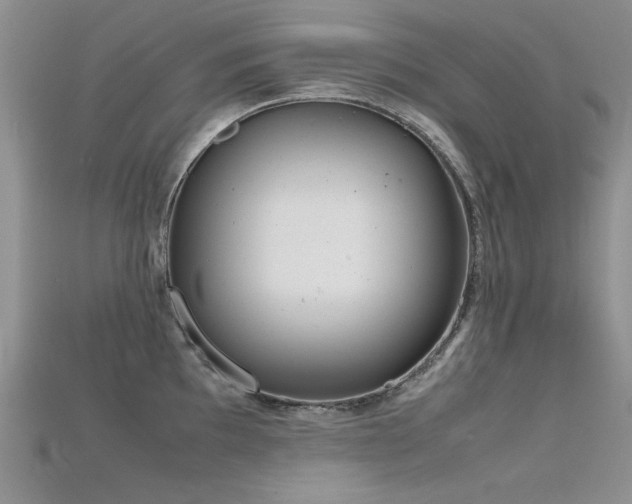 X0000115721097200911121445