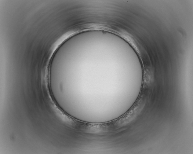 X0000115721098200911121445