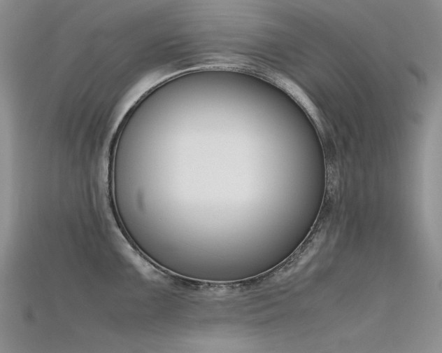 X0000115721099200911121445