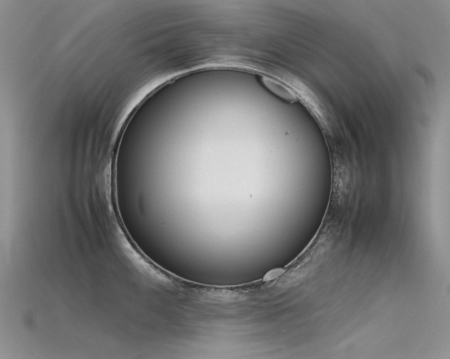 X0000115721100200911121445