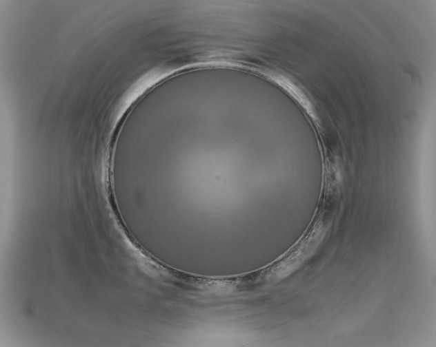 X0000115721101200911121445