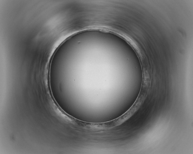 X0000115721102200911121445