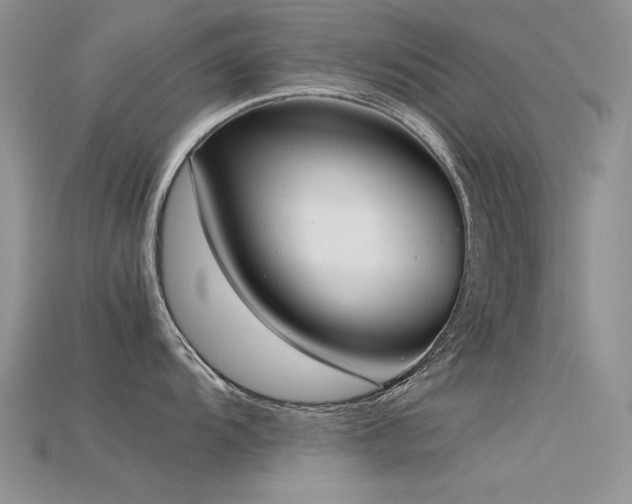 X0000115721104200911121445