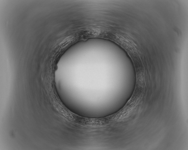 X0000115721105200911121445