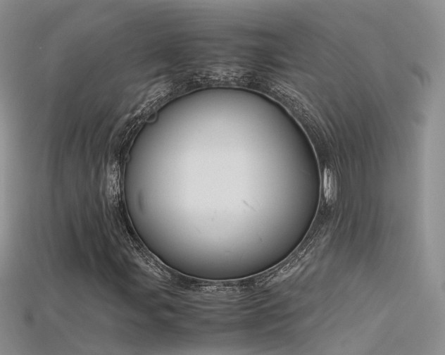 X0000115721107200911121445