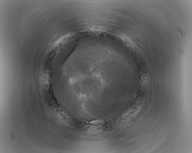 X0000115721110200911121445