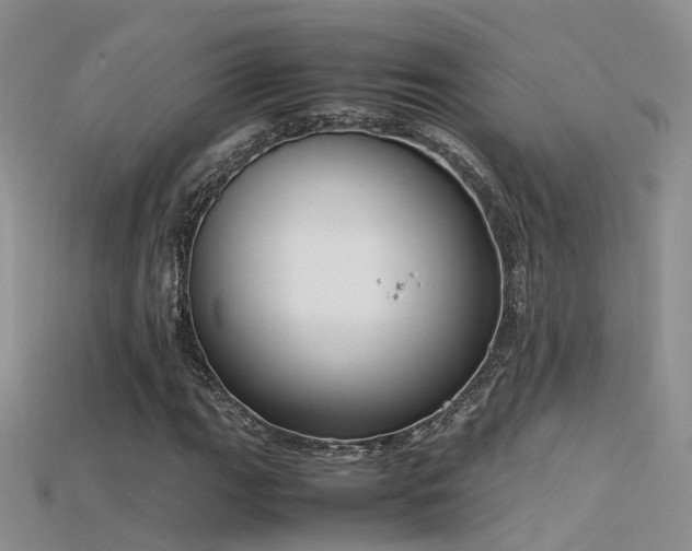 X0000115721111200911121445