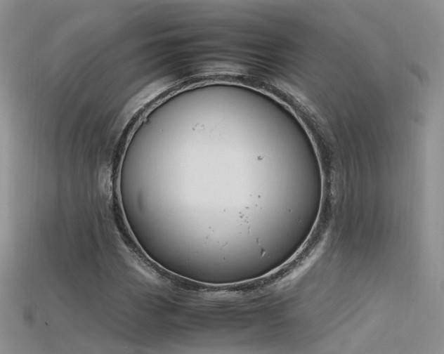 X0000115721113200911121445