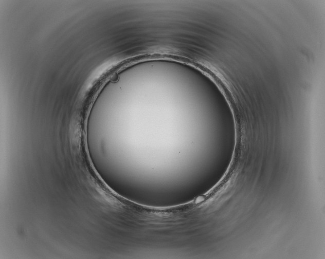 X0000115721115200911121445