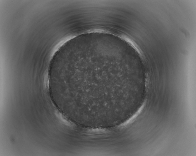 X0000115721117200911121445