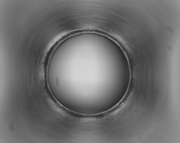 X0000115721118200911121445