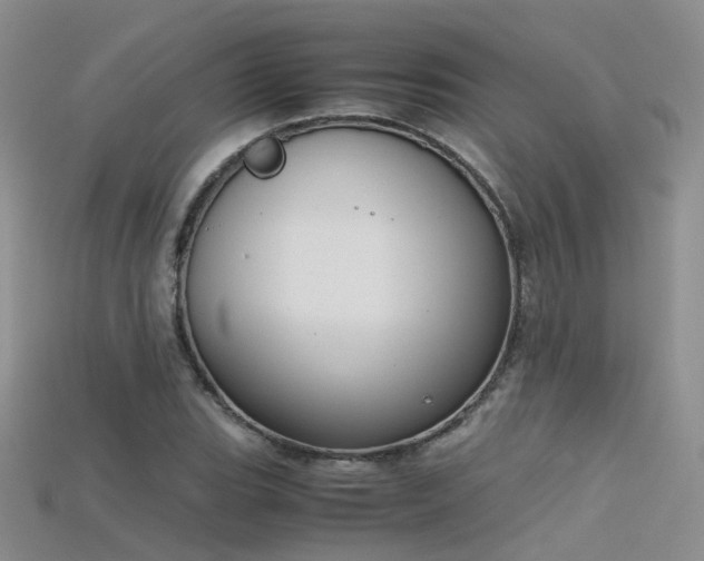 X0000115721119200911121445