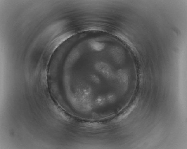 X0000115721121200911121445