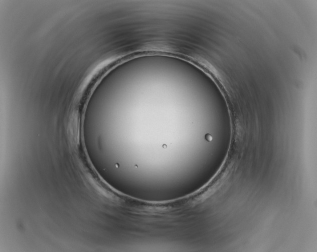 X0000115721123200911121445