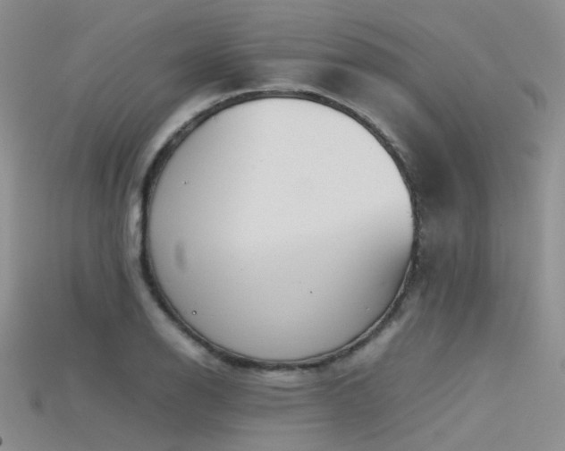 X0000115721126200911121445