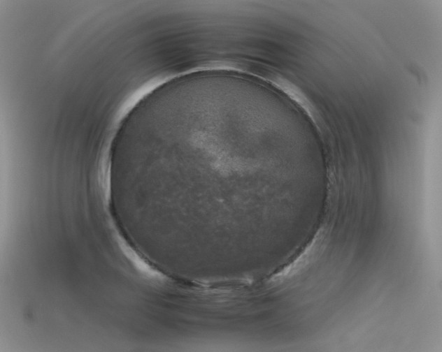 X0000115721127200911121445
