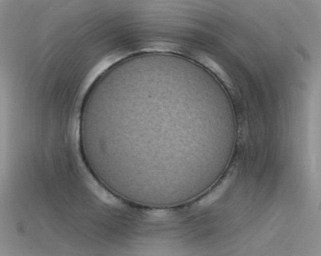 X0000115721130200911121445